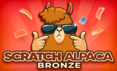 ScratchAplacaBronze