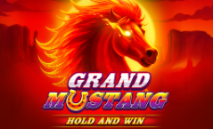 grand mustang