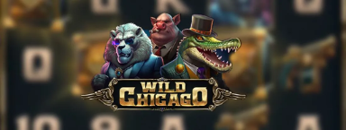 wildchicago