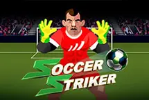 Soccer Striker