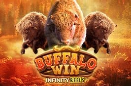 buffalowin