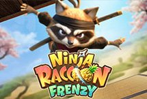 ninjaracoonfrenzy