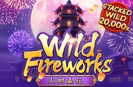 wildfireworks